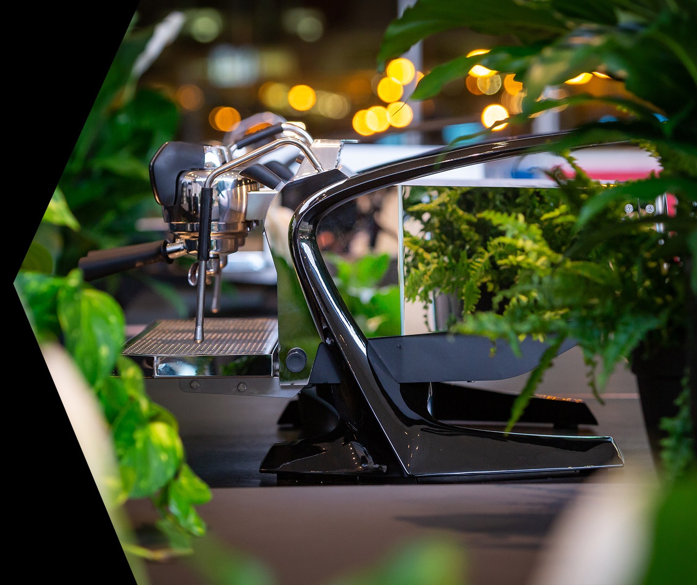 Espresso machine van slayer